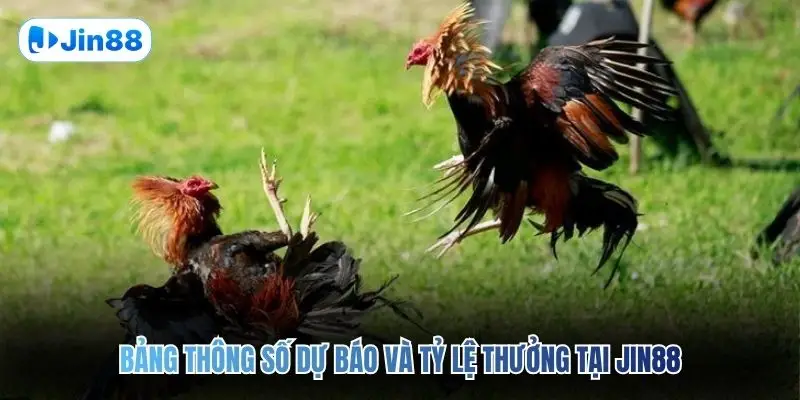 Đá Gà Thomo JIN88 – Quy Tụ 10+ Trận Đấu Mỗi Ngày - hình ảnh - jin88.us.cc Đá Gà Thomo JIN88 – Quy Tụ 10+ Trận Đấu Mỗi Ngày - hình ảnh - jin88.us.cc