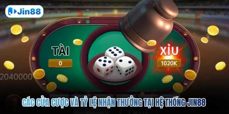 Tài Xỉu JIN88 – Top 5 Bí Quyết Để Về Bờ An Toàn 2026 - hình ảnh - jin88.us.cc Tài Xỉu JIN88 – Top 5 Bí Quyết Để Về Bờ An Toàn 2026 - hình ảnh - jin88.us.cc