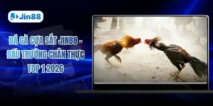 jin88hvcam – Jin88| Nhà cái chính thức jin88.com đăng ký thành viên mới nhận thưởng 886k - hình ảnh - jin88.us.cc