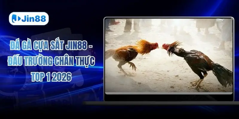 Đá gà JIN88 – jin88hvcam - hình ảnh - jin88.us.cc Đá gà JIN88 – jin88hvcam - hình ảnh - jin88.us.cc